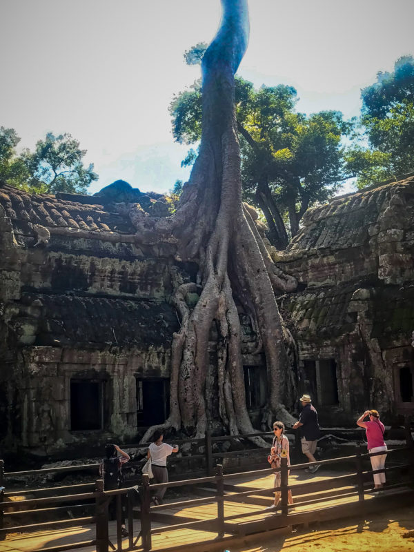 Temples Angkor, Cambodge