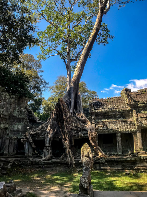 Temples Angkor, Cambodge