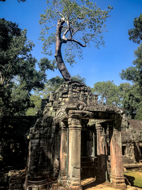 Temples Angkor, Cambodge