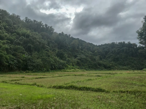Gibbon Experience, Huay Xay, Laos