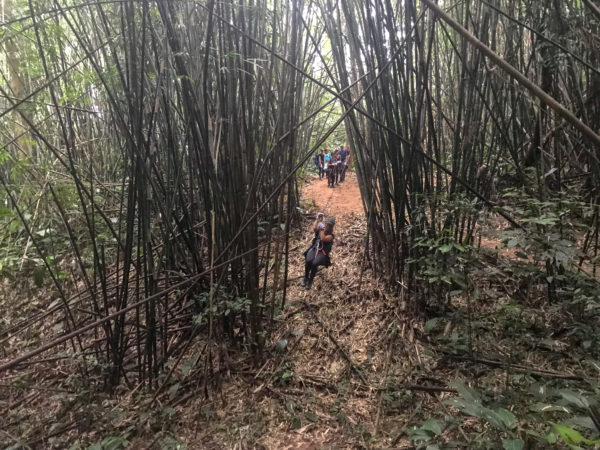 Gibbon Experience, Huay Xay, Laos