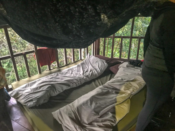 Gibbon Experience, Huay Xay, Laos