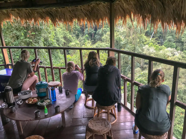 Gibbon Experience, Huay Xay, Laos