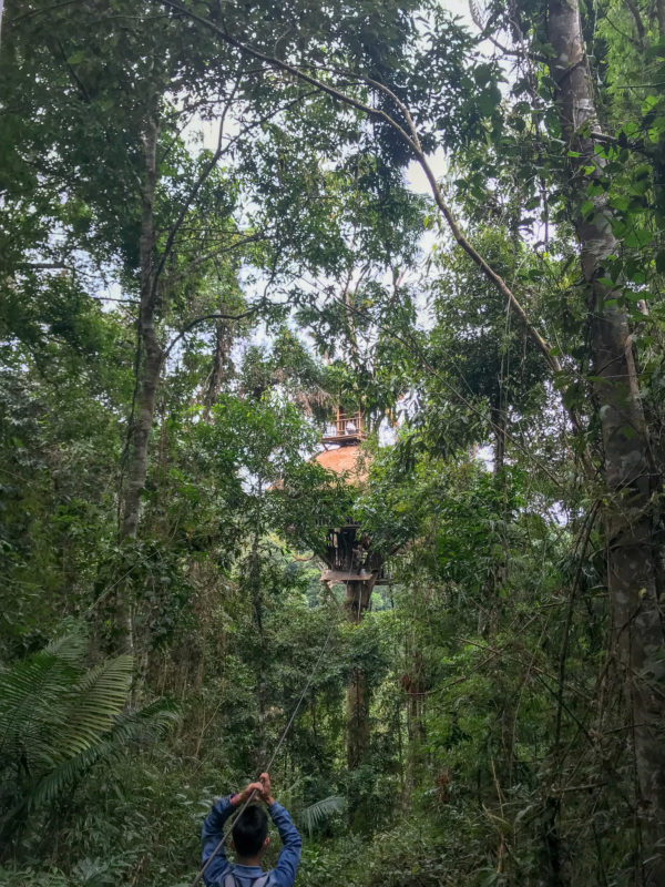 Gibbon Experience, Huay Xay, Laos