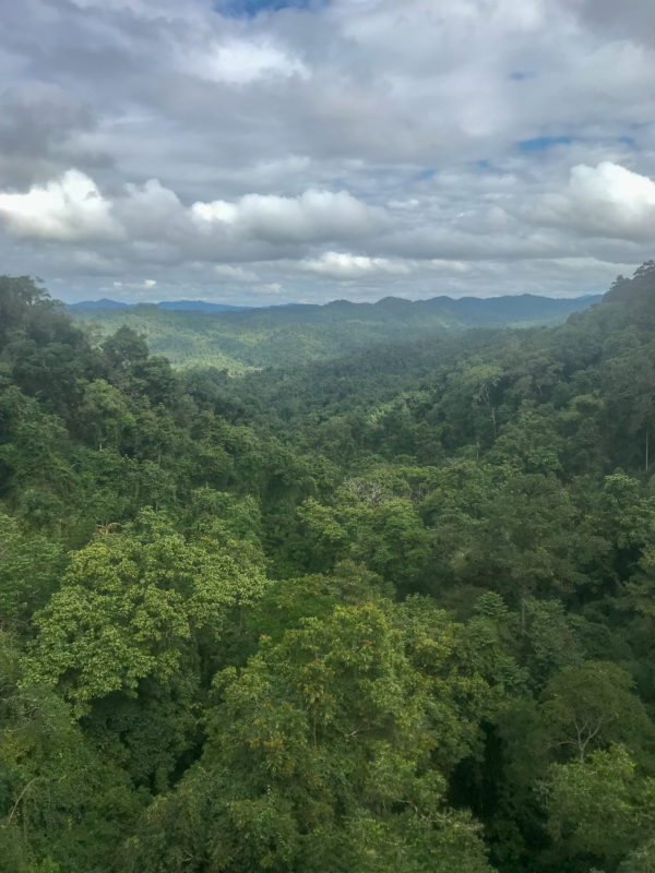 Gibbon Experience, Huay Xay, Laos