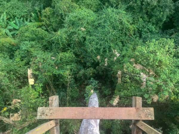Gibbon Experience, Huay Xay, Laos